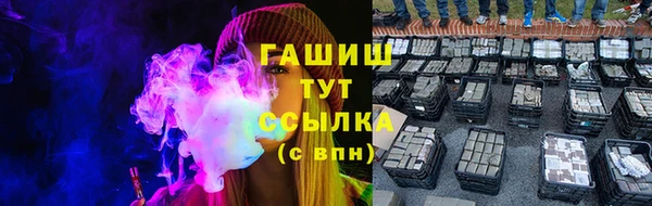 хмурый Абаза