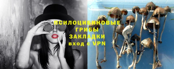 дживик Ростов